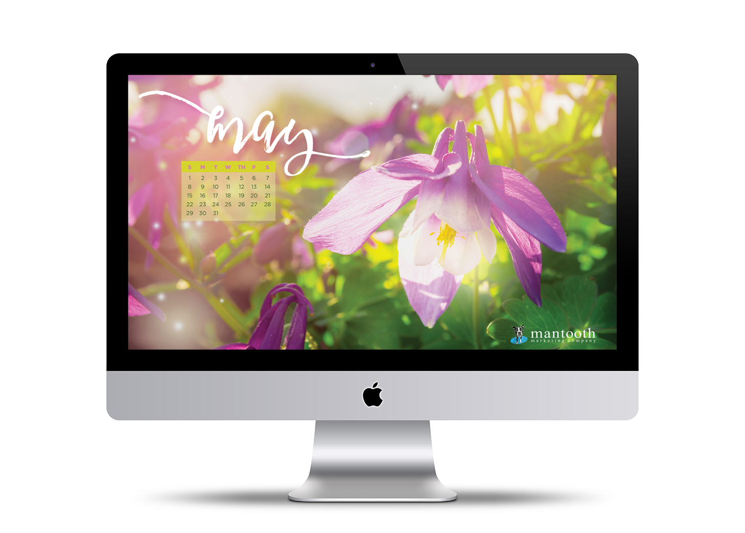 Turn Your Desktop Into Flowers And Sunshine With Our