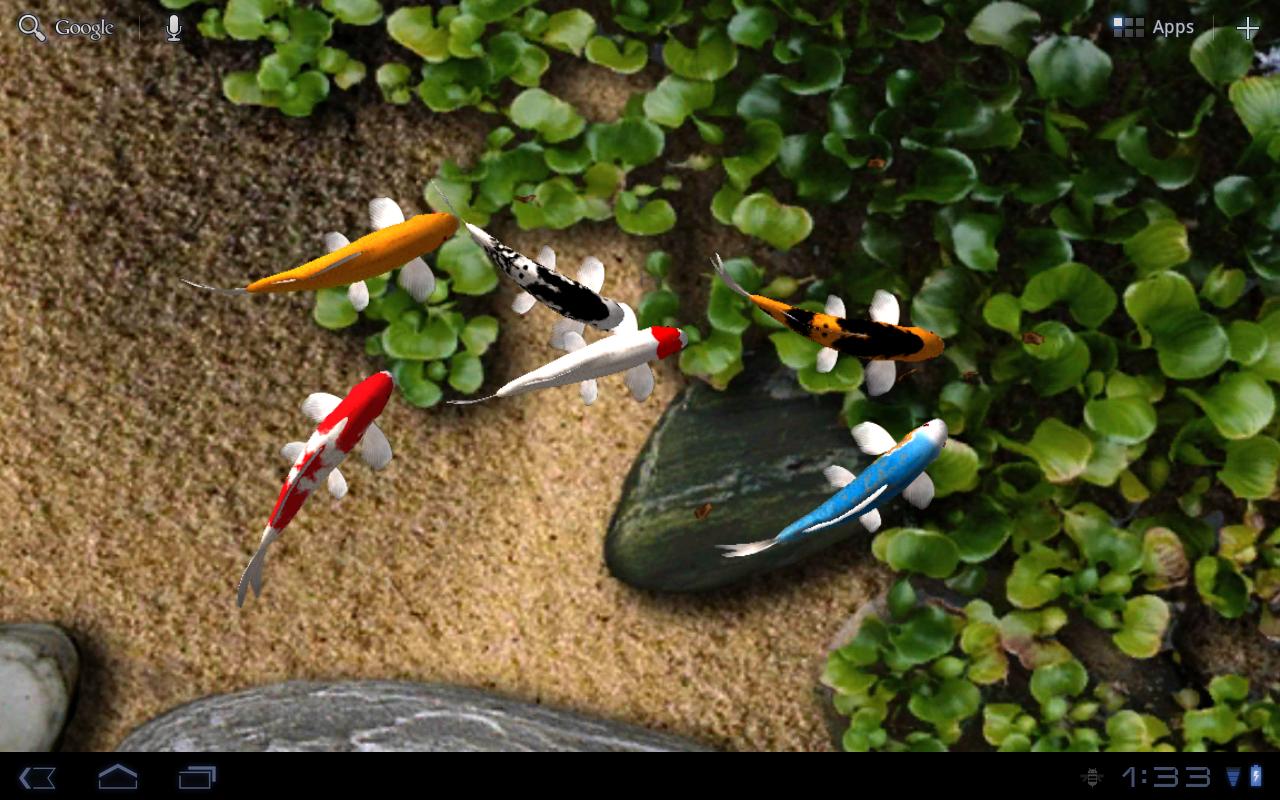 Koi Live Wallpaper Android Apps On Google Play