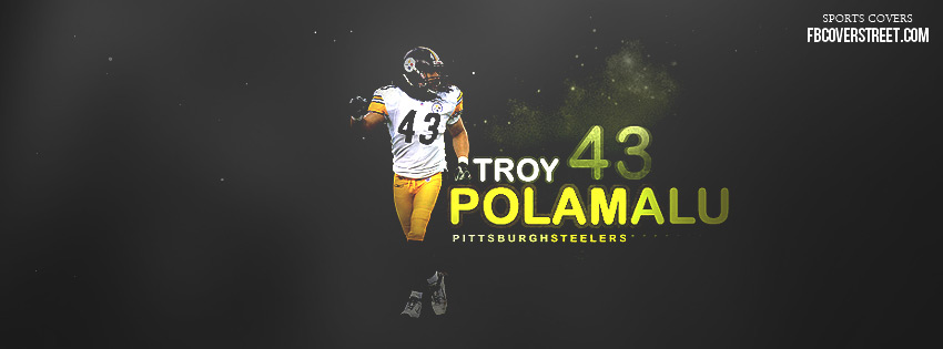 Pittsburgh Steelers Pink Logo Troy Polamalu