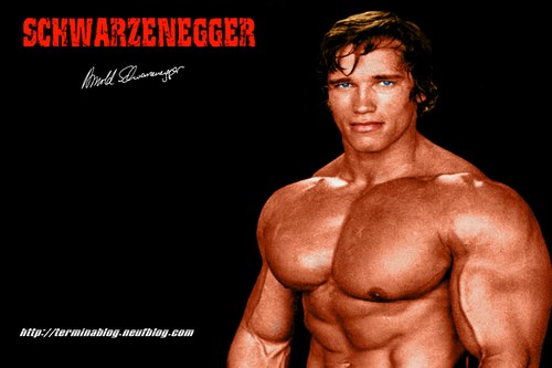 49+] Arnold Schwarzenegger Wallpaper Bodybuilding - WallpaperSafari