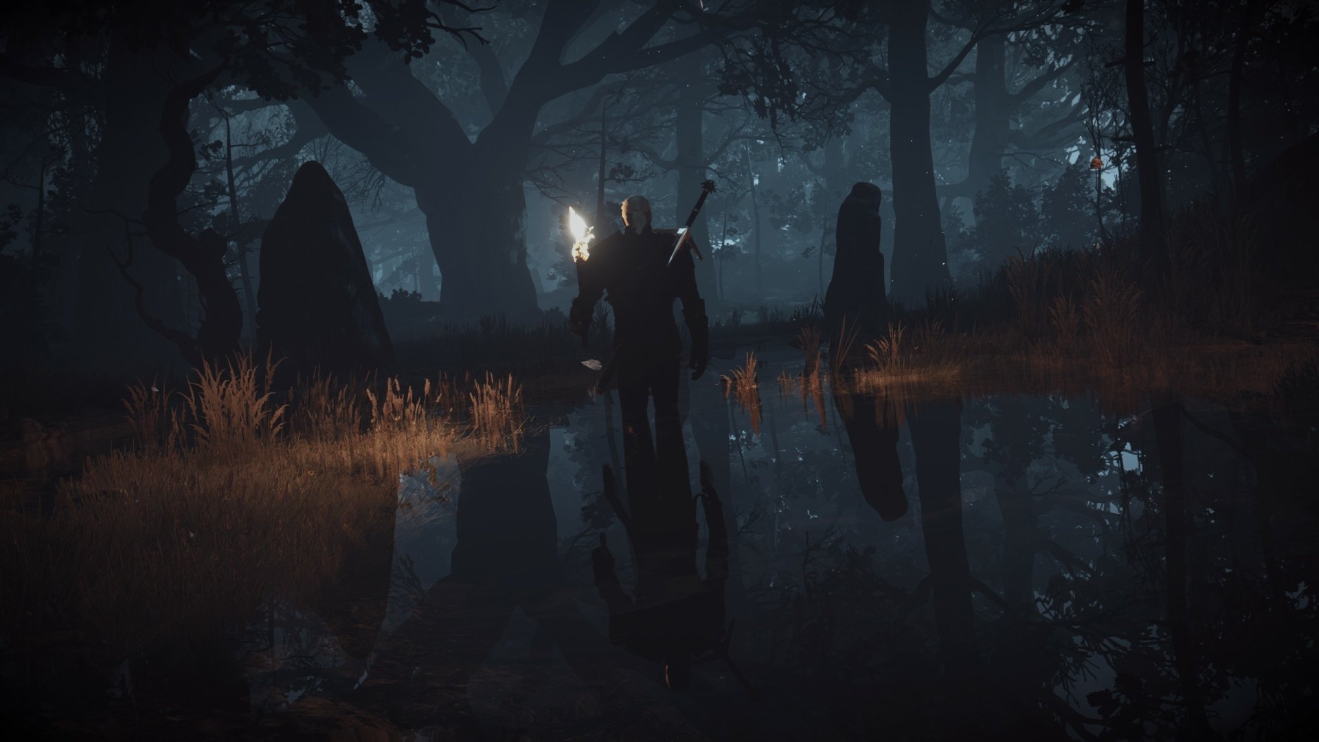 Video Game The Witcher Wallpaper