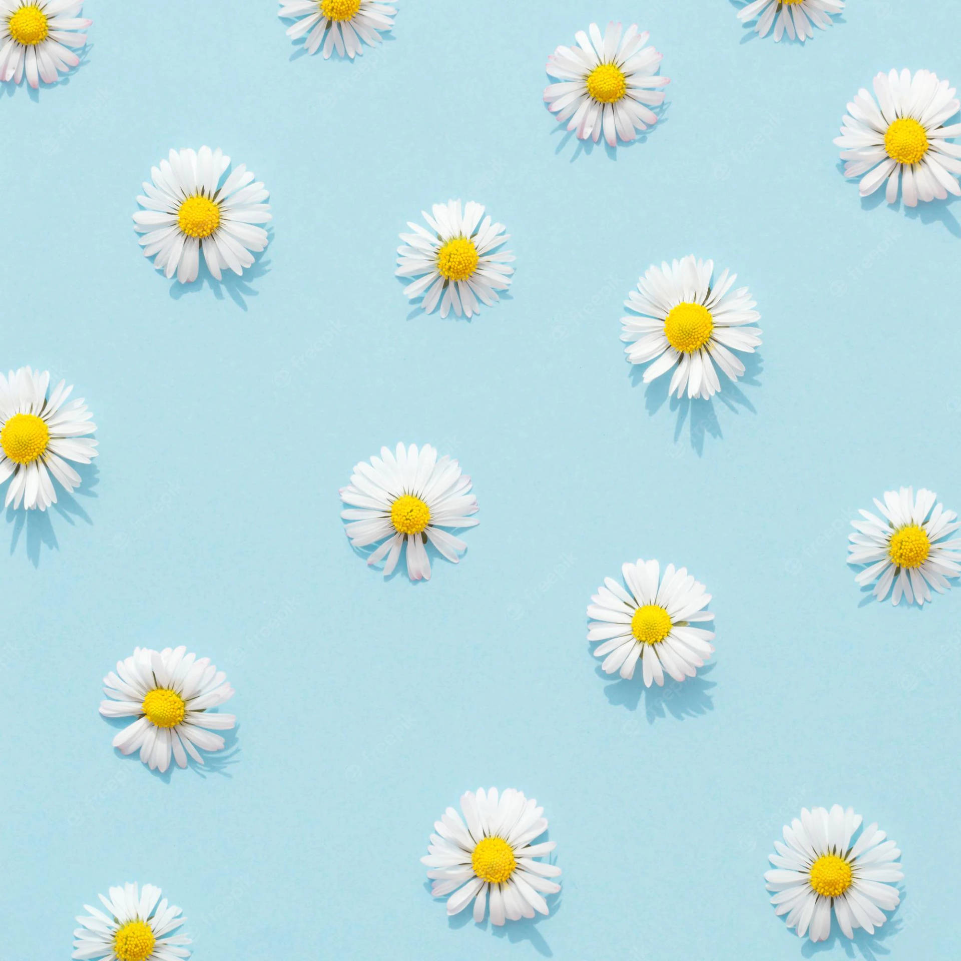 Aesthetic Blue Wallpaper