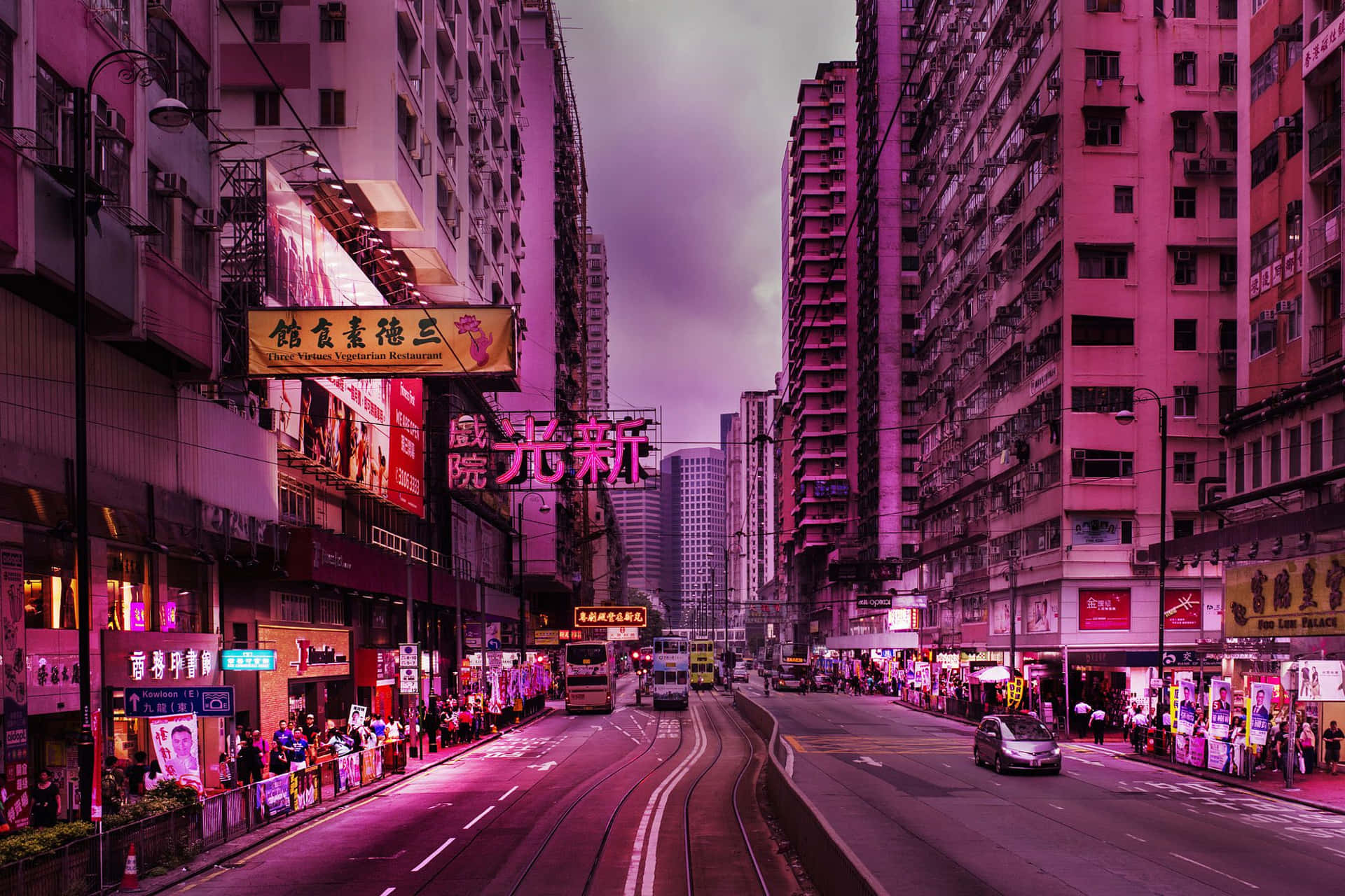 Pink City Wallpaper