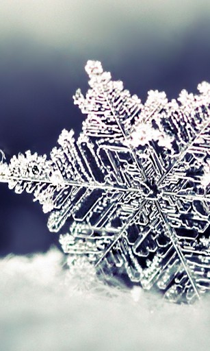 Snowflake HD Live Wallpaper For Android By Woodart