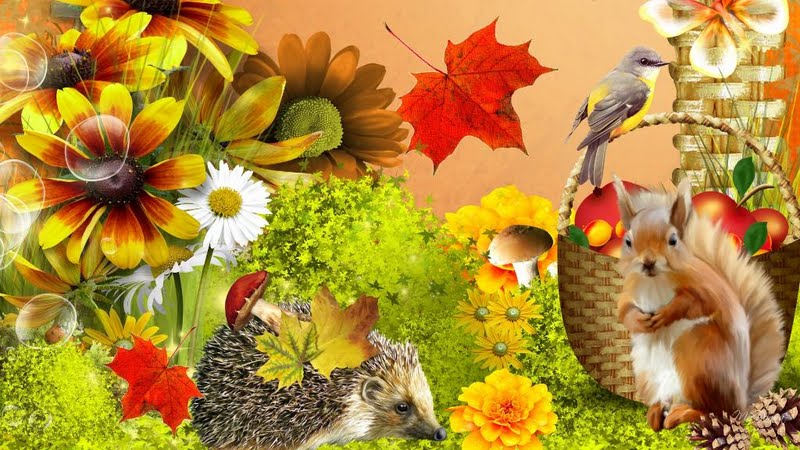 High Resolution Autumn Flowers And Fruit Desktop Laptop Wallpaper