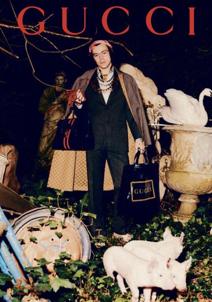 Harry X Gucci On