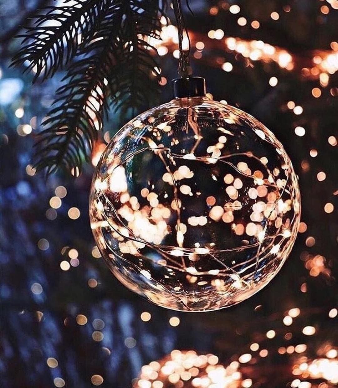 Christmas Lights Cute Wallpaper