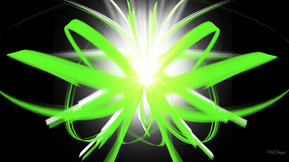 Abstract Green Butterfly Wallpaper