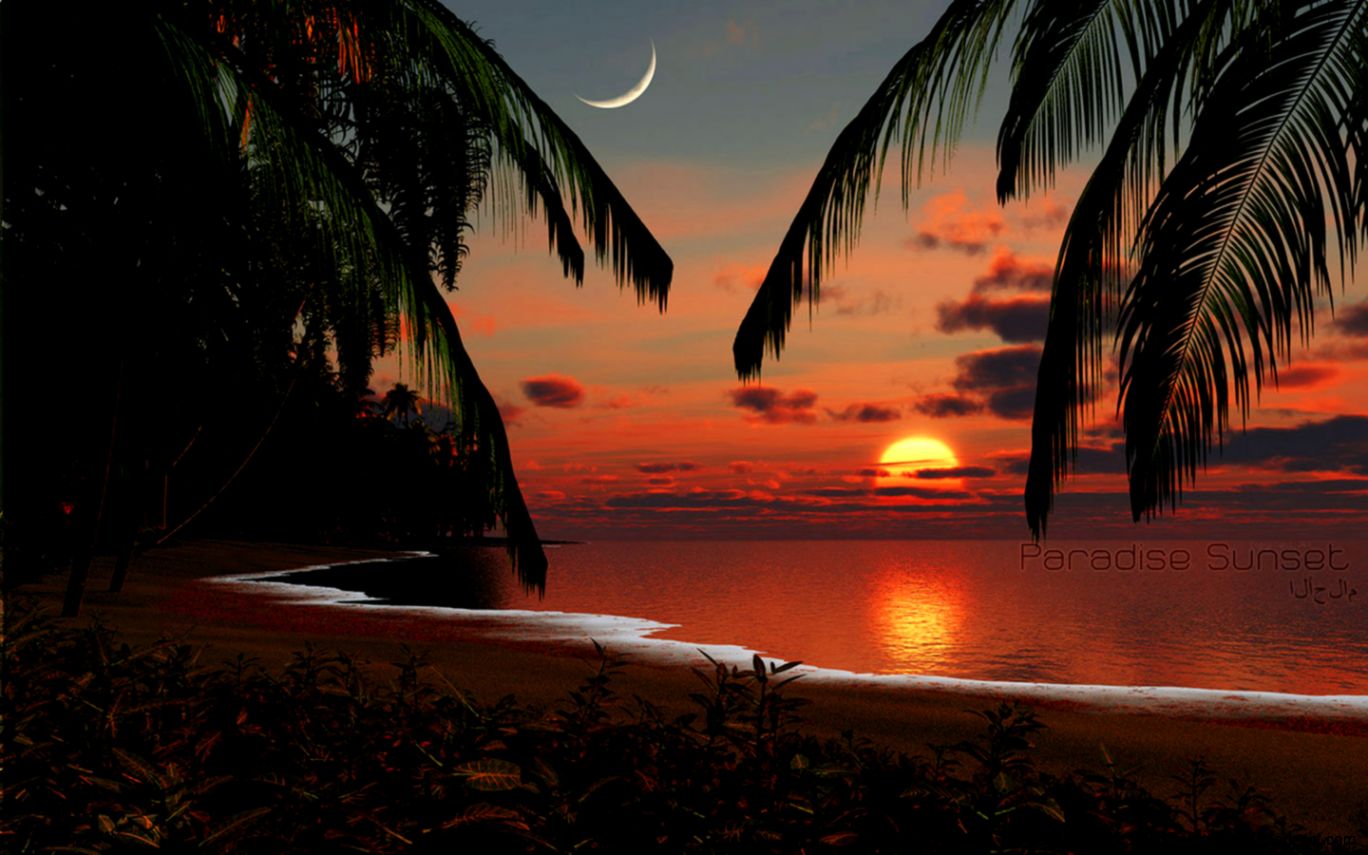 Free Tropical Sunset Wallpaper Hd 1080P 12 HD Wallpapers