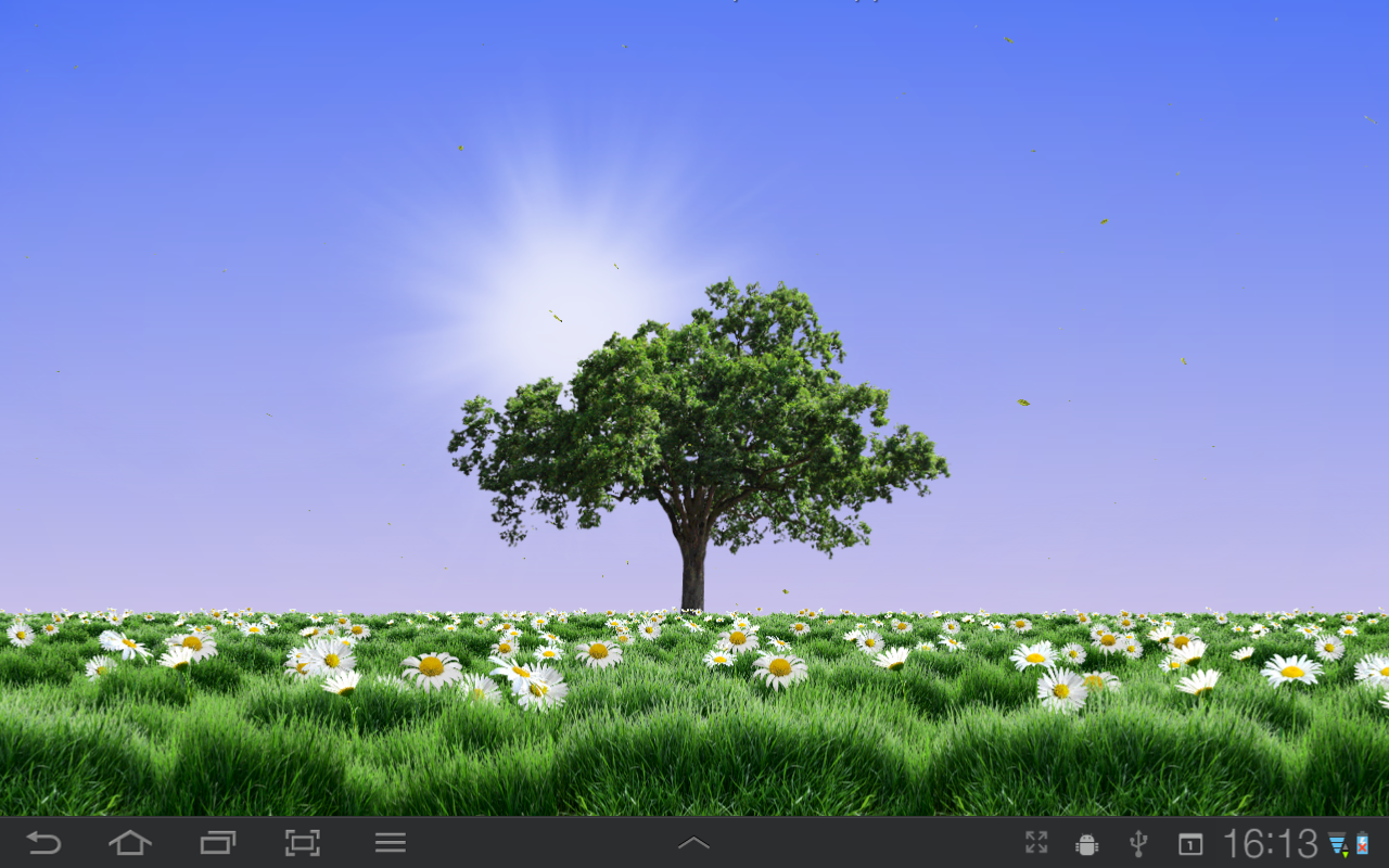 Summer Trees Live Wallpaper Android Apps On Google Play