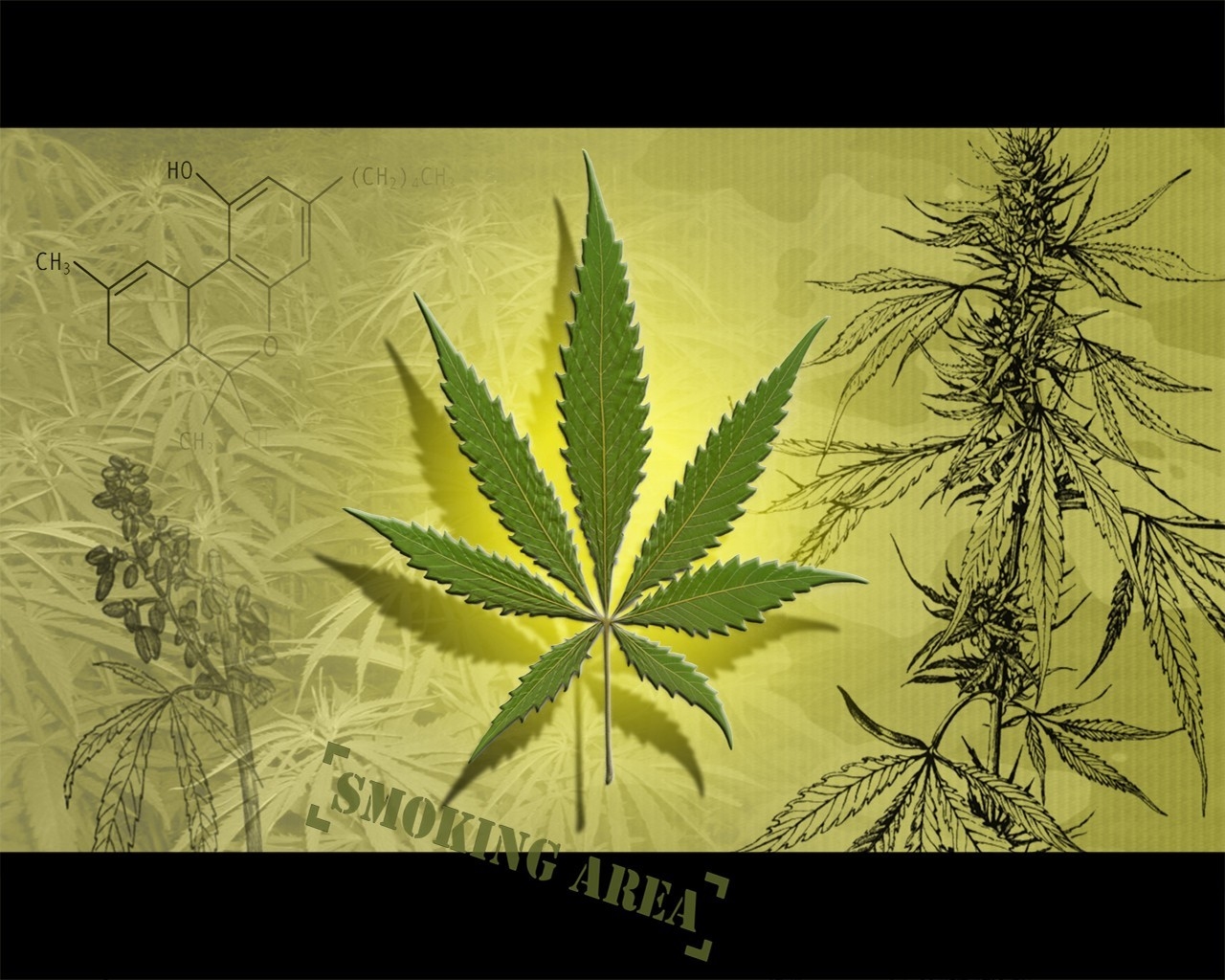 Marijuana Desktop Background Wallpaper Basic Pot Leaf