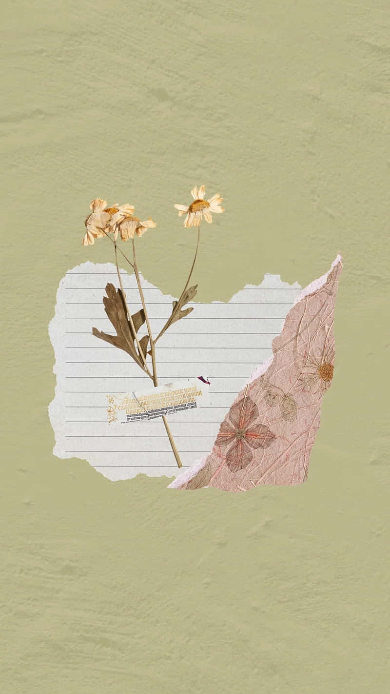 Minimalist Flower Aesthetic Wallpaper