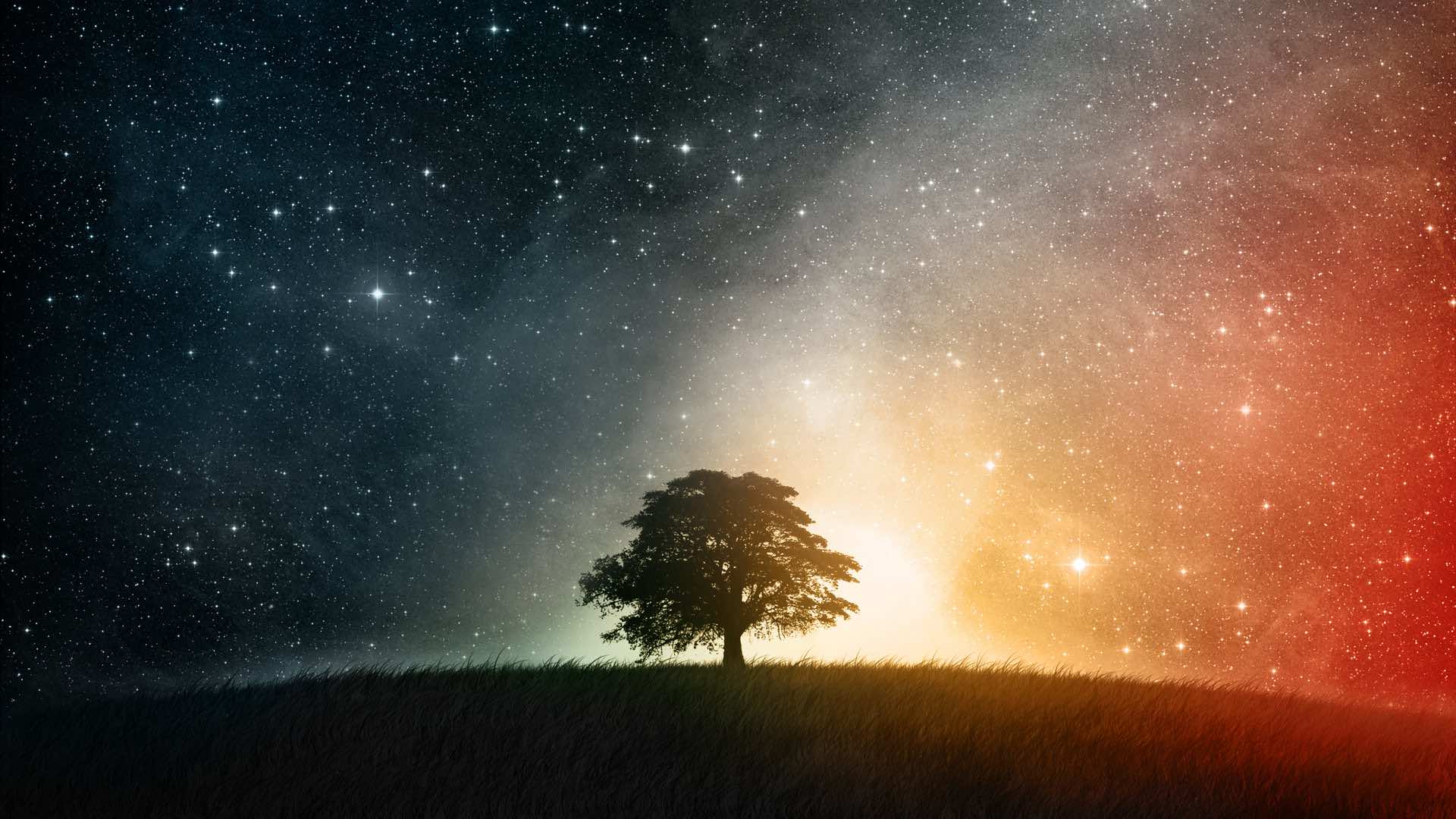A lone tree silhouetted against a vibrant galaxy backdrop, perfect for a desktop wallpaper
