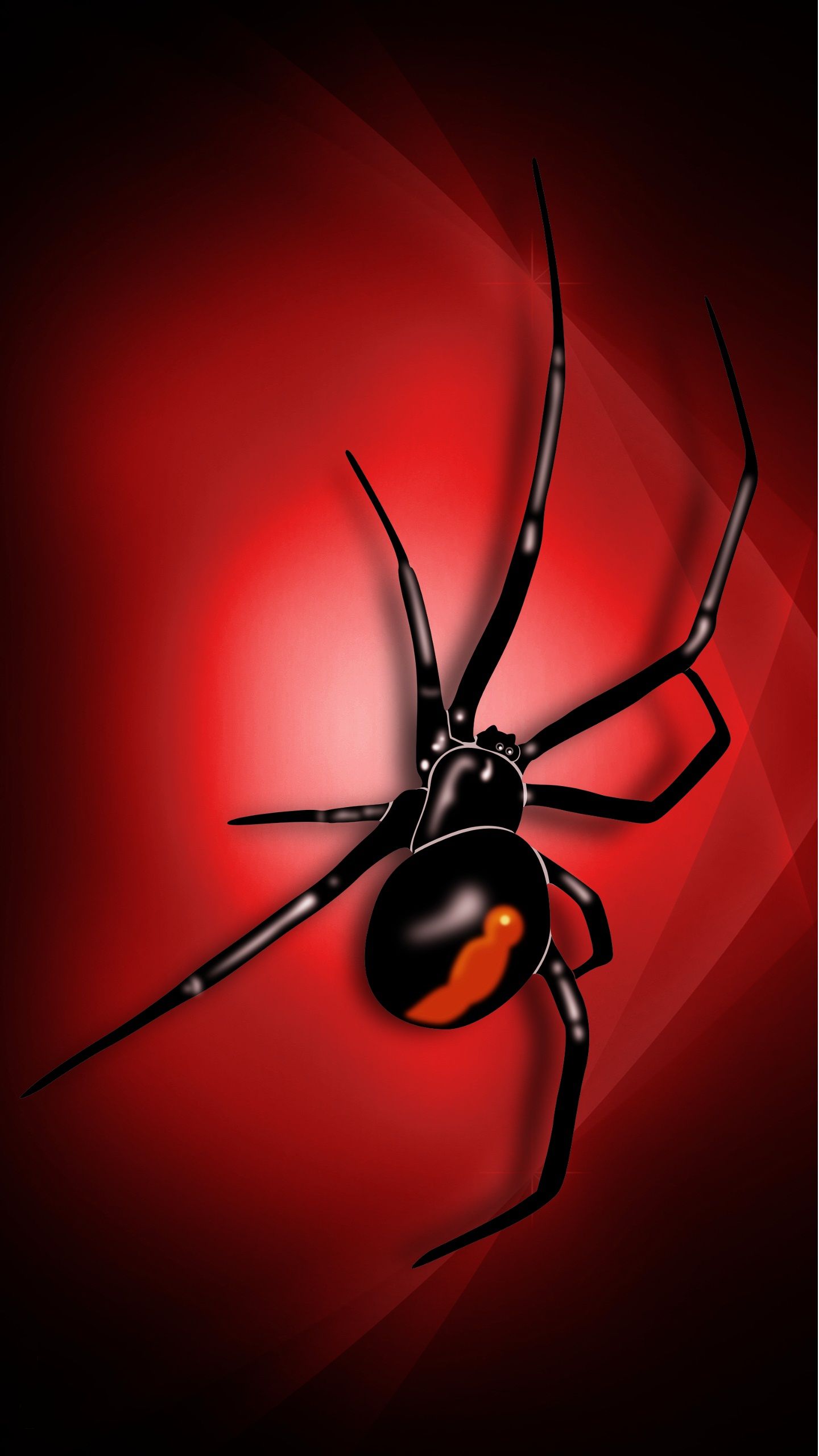 3d Spider Wallpaper iPhone Cool Red