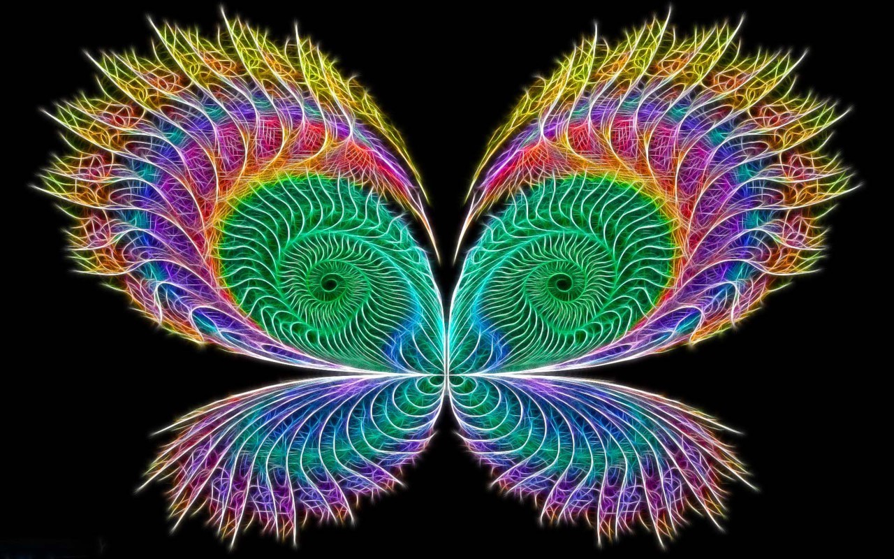 Neon Colors Rock images Butterfly wallpaper photos 18996035