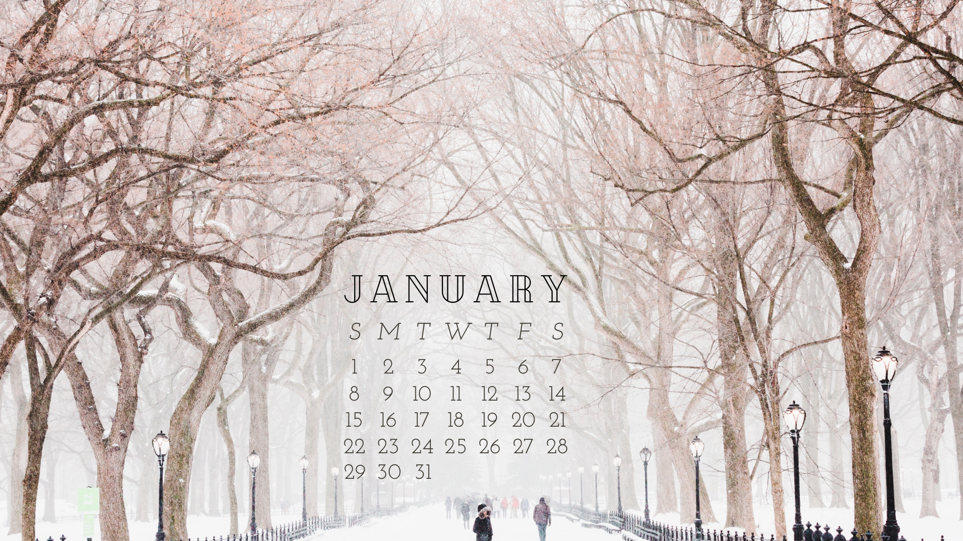 FREE JANUARY 2023 Desktop Calendar Backgrounds EASY DOWNLOAD