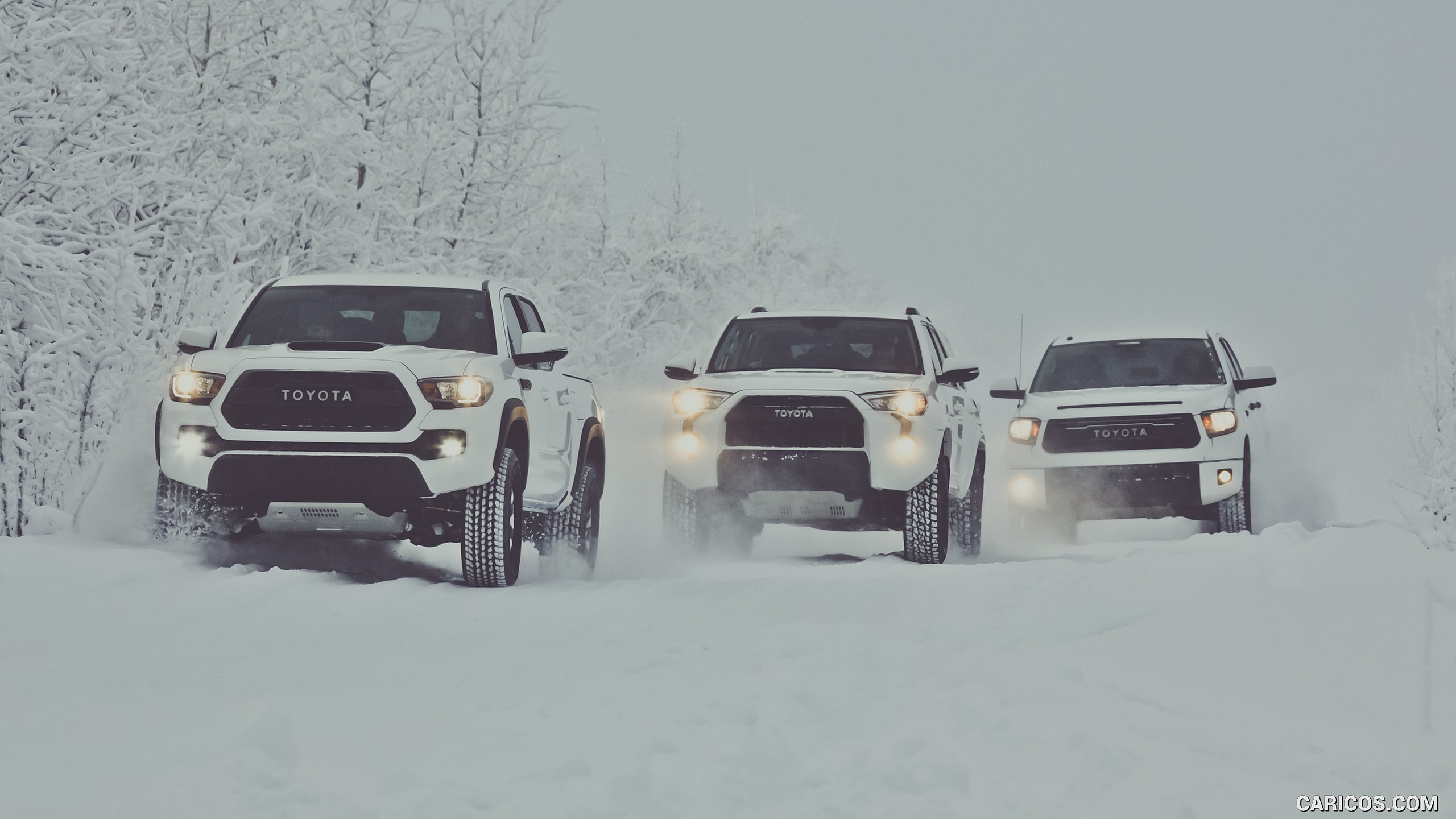 Toyota Taa Trd Pro In Snow Front Caricos