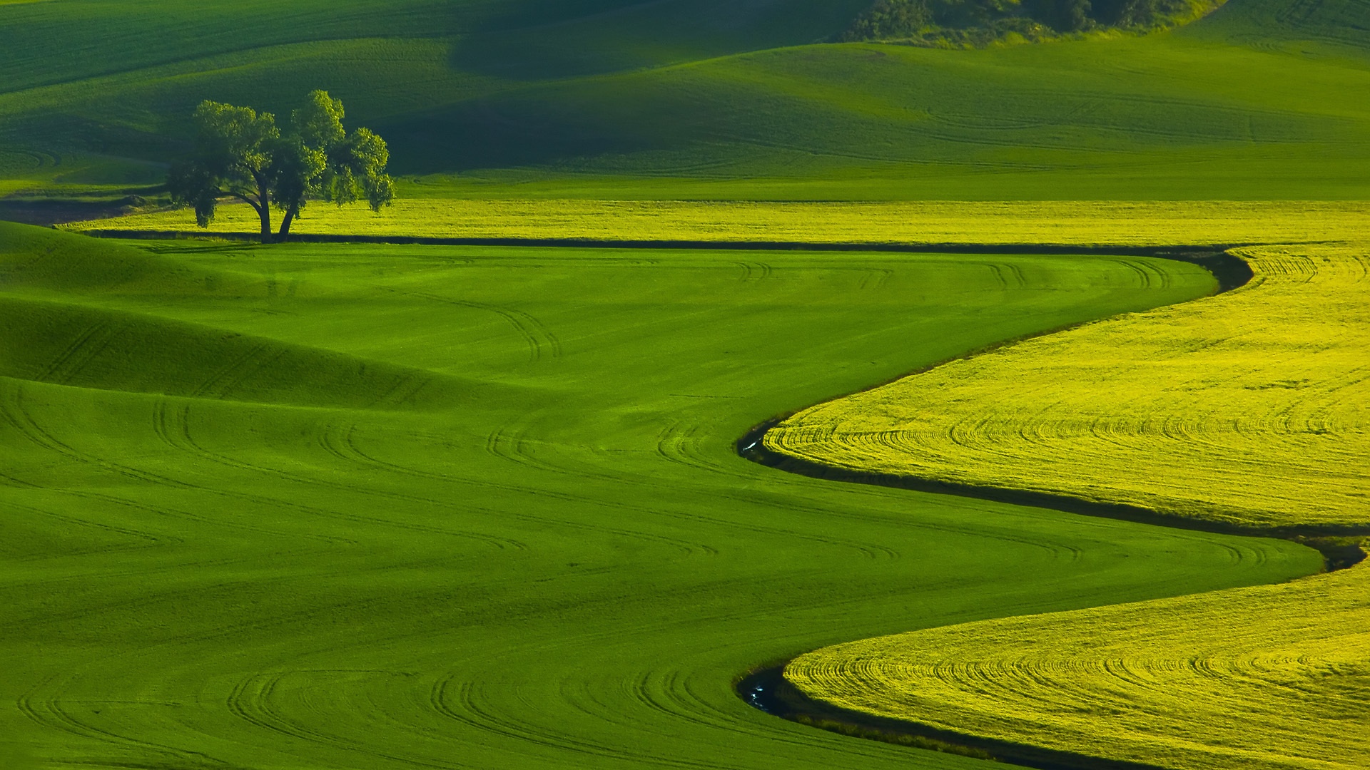 Green Land Desktop Wallpaper Background