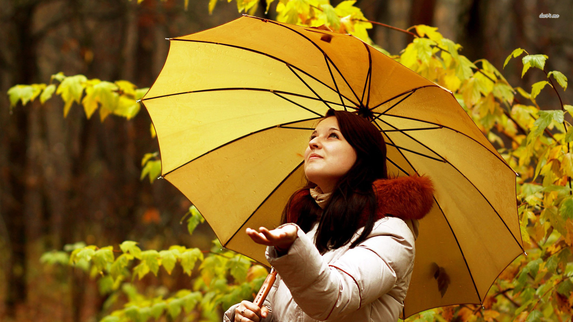 Free download Girl With Yellow Umbrella Under Autumn Rain Wallpaper MixHD  [1920x1080] for your Desktop, Mobile & Tablet | Explore 47+ Woman in the Yellow  Wallpaper | Themes in the Yellow Wallpaper,