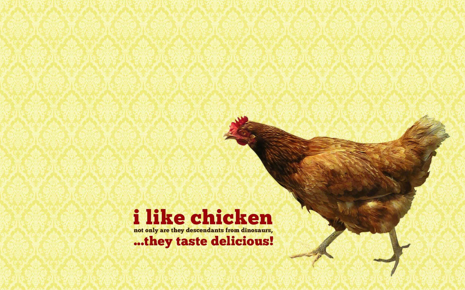 Chicken Wallpaper