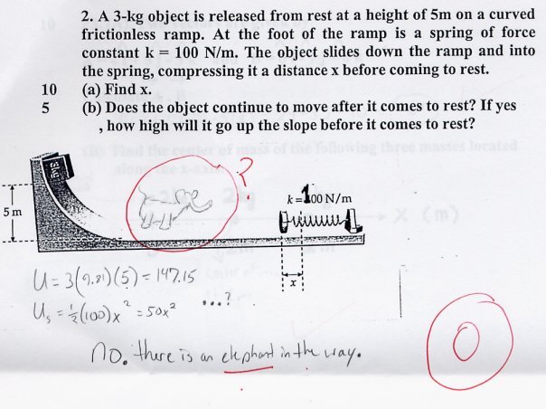 Funny Children S Answers To Exam Questions HD Wallpaper