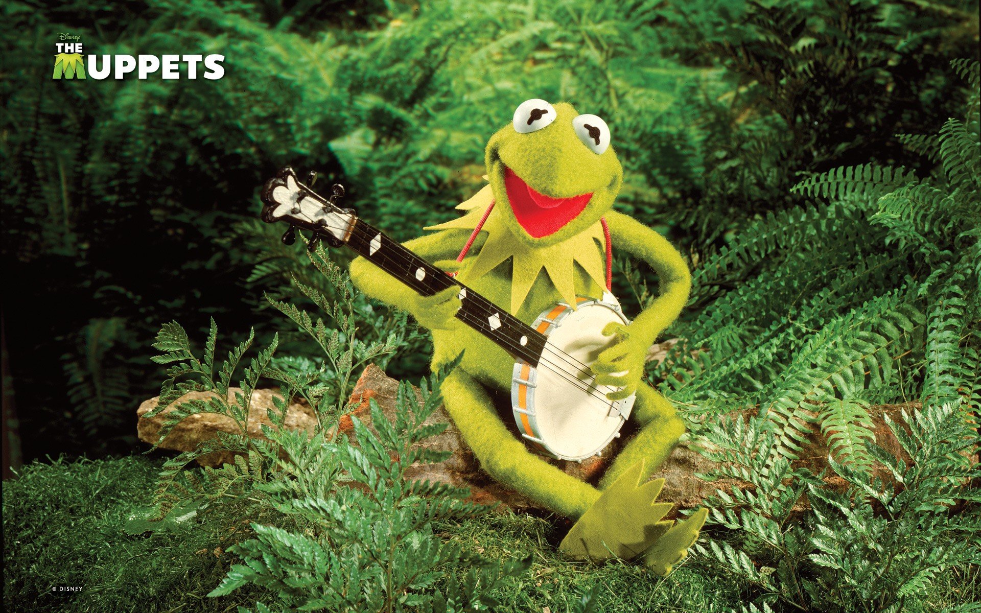 Green Frogs Kermit The Frog Banjo Jim Henson Wallpaper