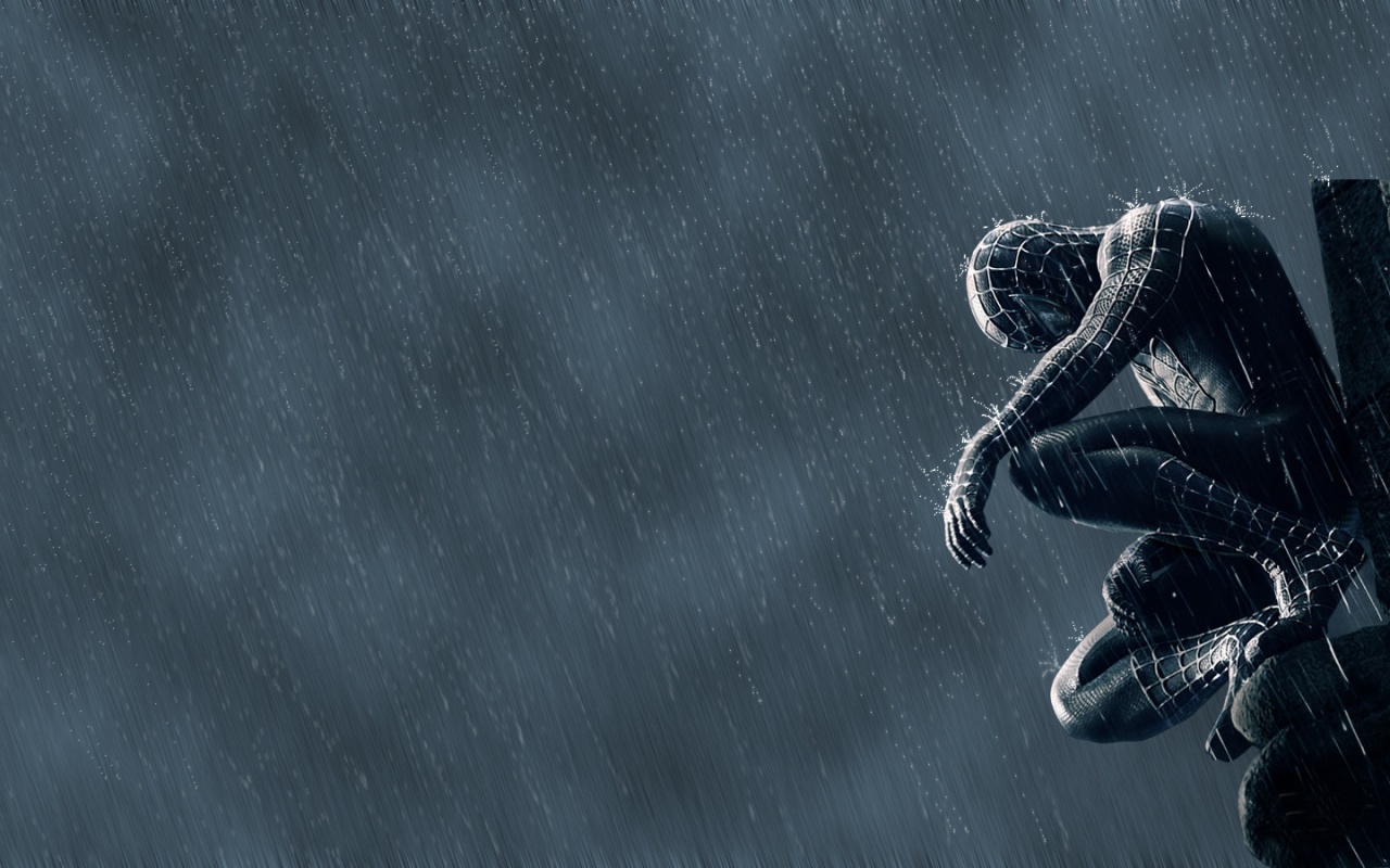 HD Movie Wallpaper Of Spiderman In Black
