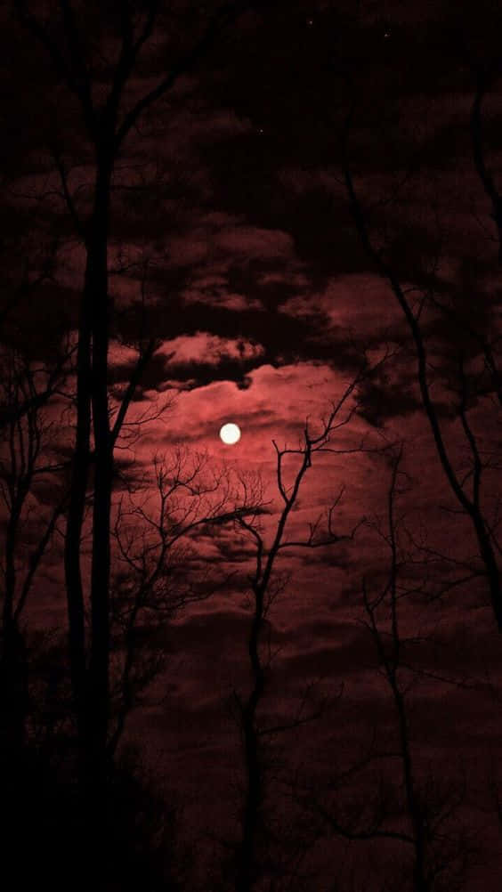 Vampire Aesthetic Wallpaper