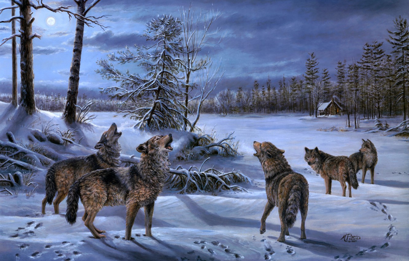 Wallpaper Winter Forest Night The Moon Wolf Pack Wolves Hut
