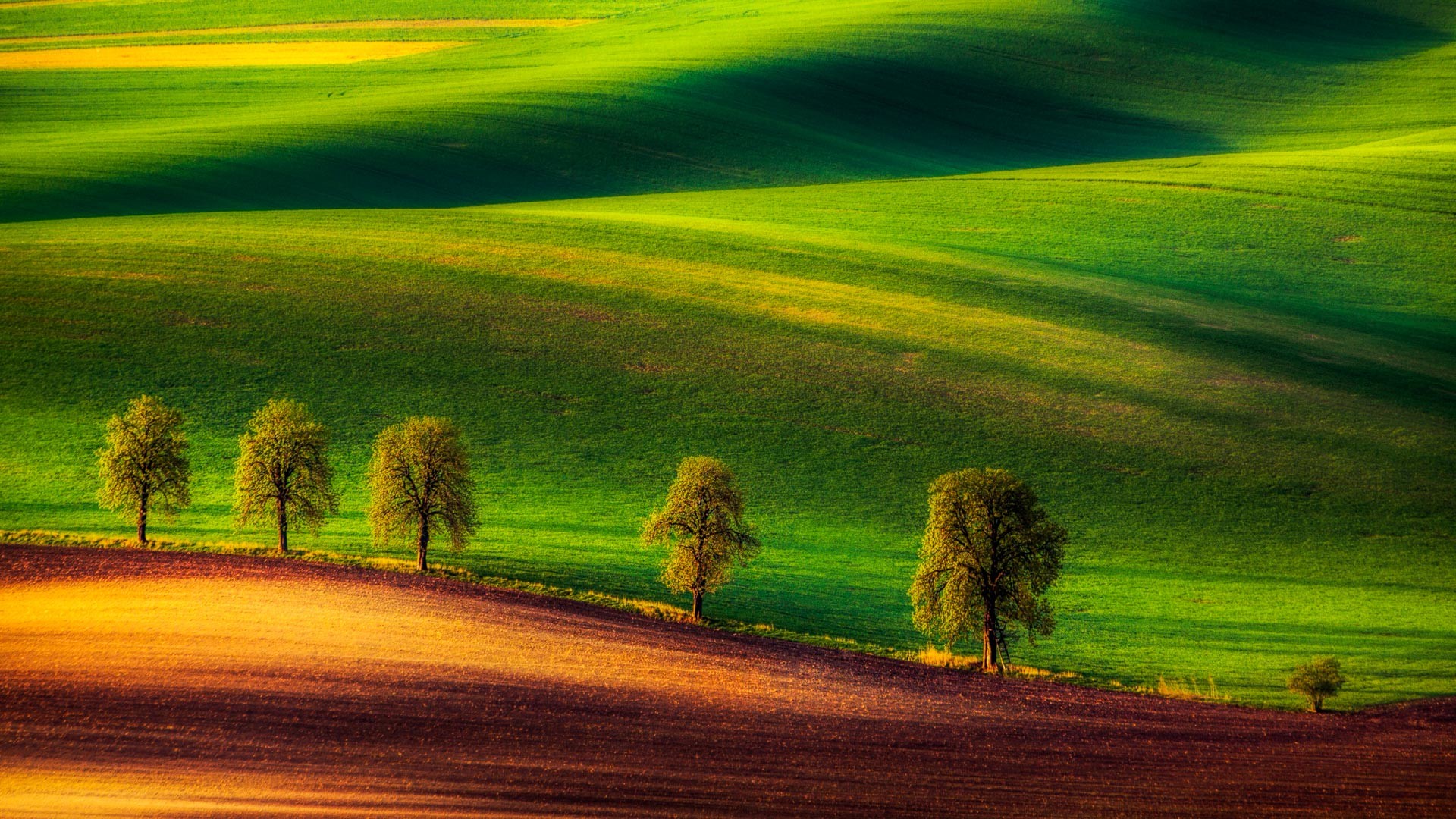 Windows Lock Screen Wallpaper