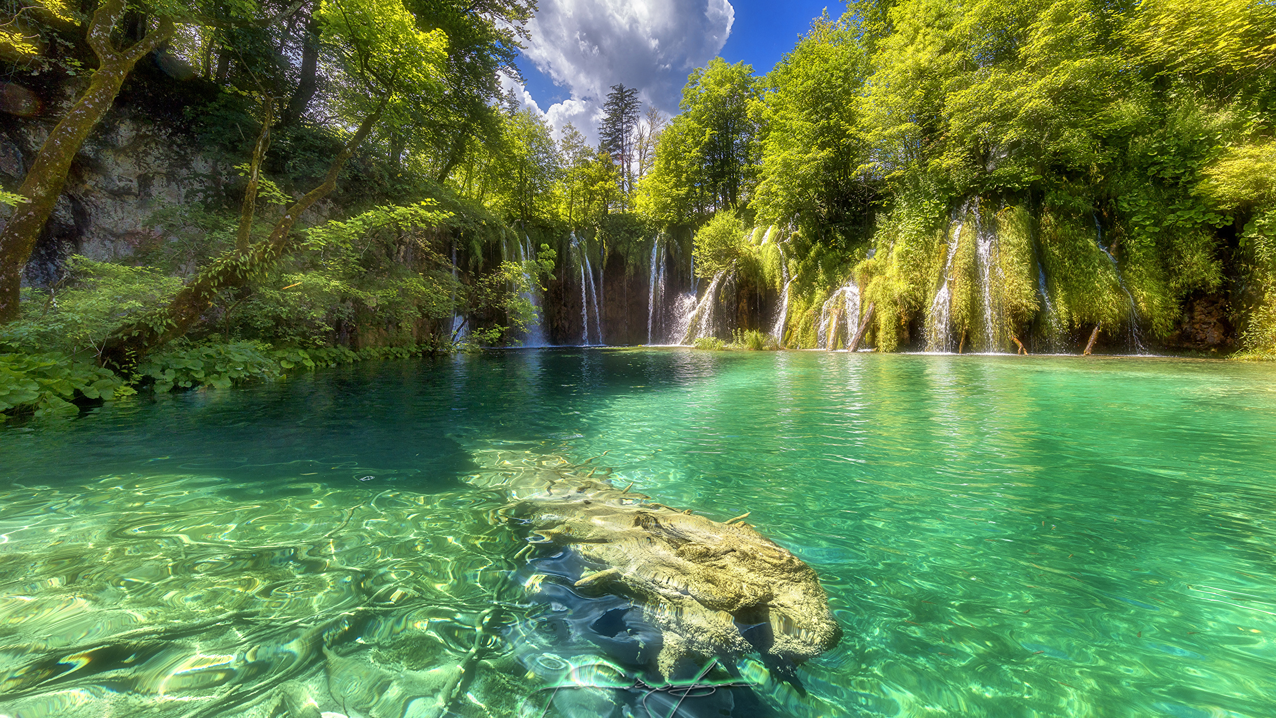 Photos Croatia Plitvice Lakes National Park Nature