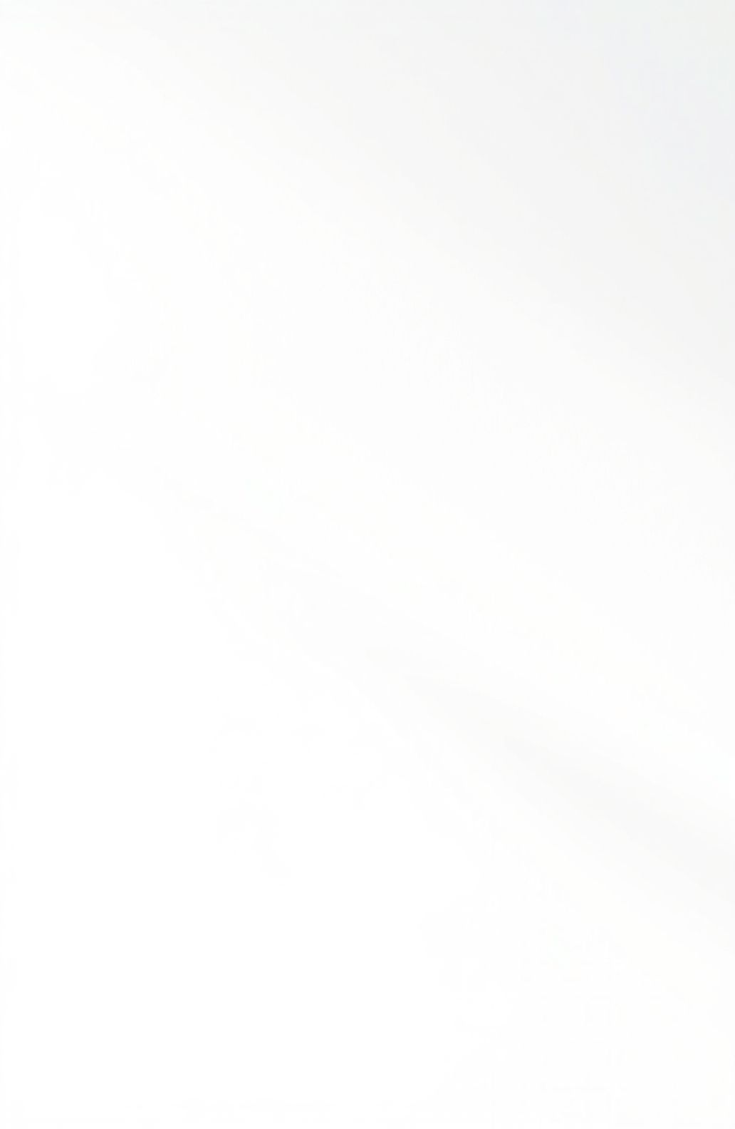 White Screen Wallpaper
