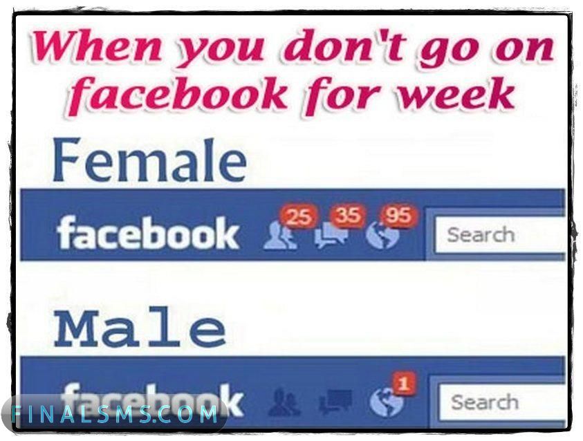 funny female facebook profile pictures