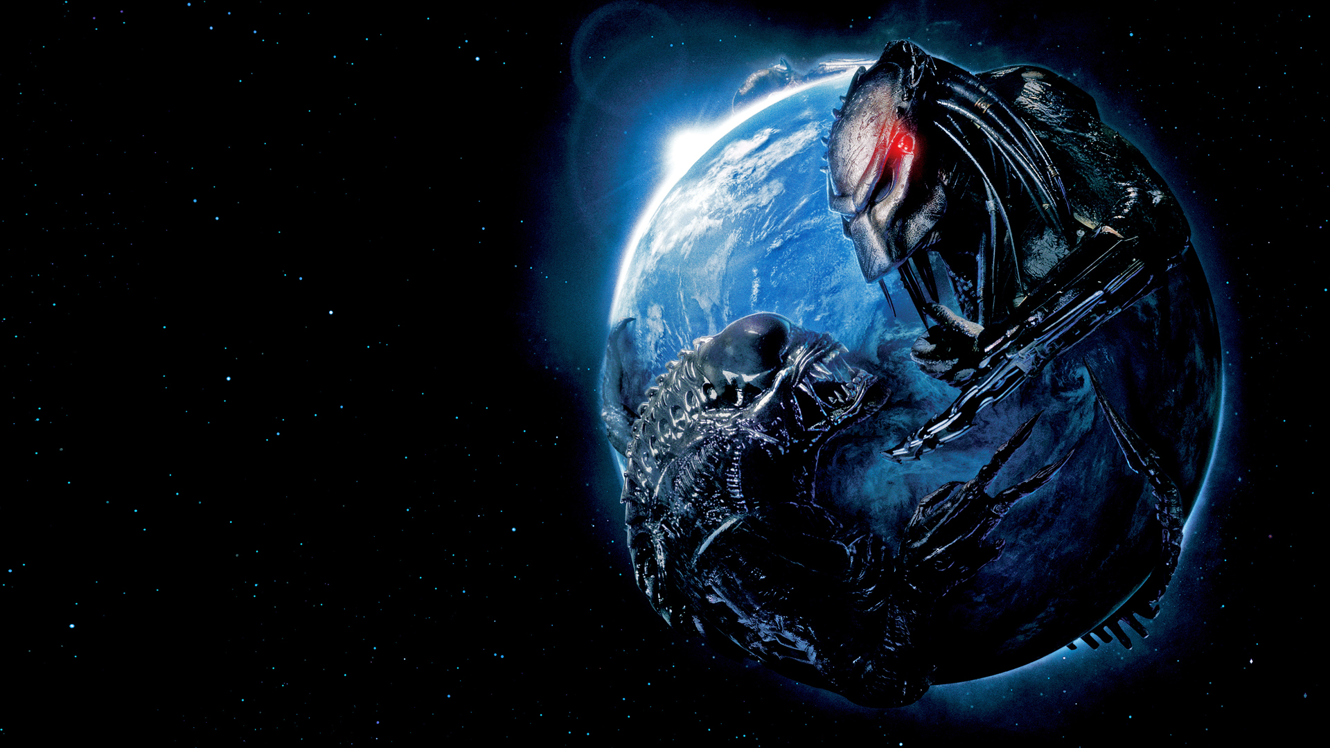 Download Alien Vs Predator Celtic And Grid Faces Wallpaper  Wallpaperscom