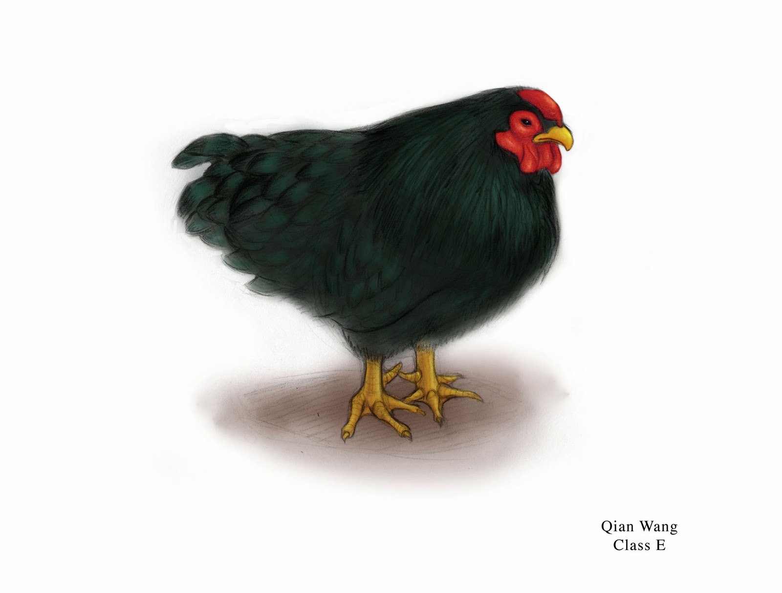 🔥 Download The Yellow Wallpaper Character Analysis by kevind53 The Yellow Wallpapers