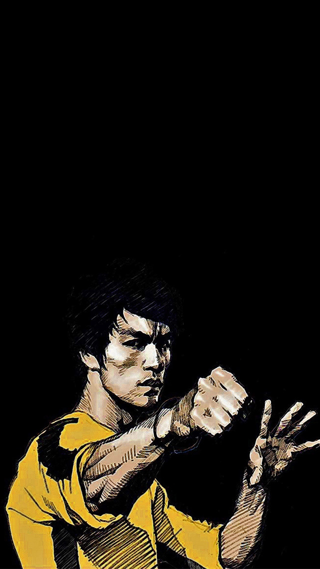 Showing Gallery For Martial Arts iPhone Wallpaper