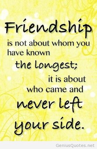 Never Left Friendship Quotes