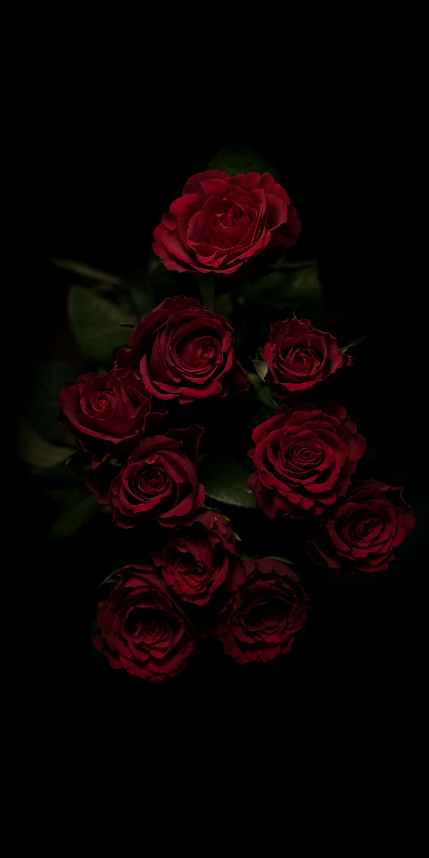 Premium Photo | 3d rendering of a luminous rose in a dark rose forest  fantasy