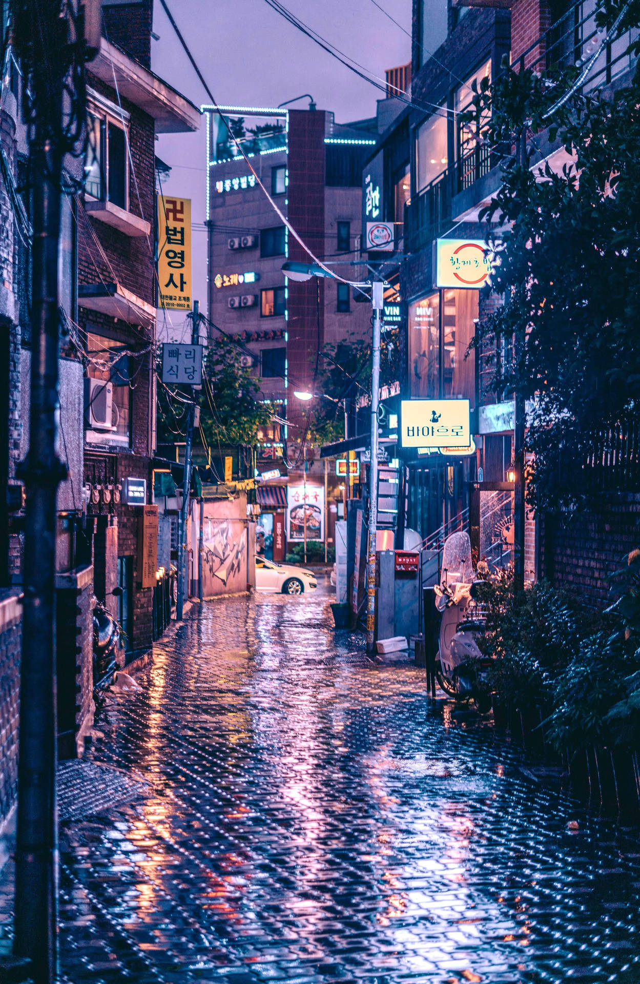 Korean Aesthetic Wallpaper