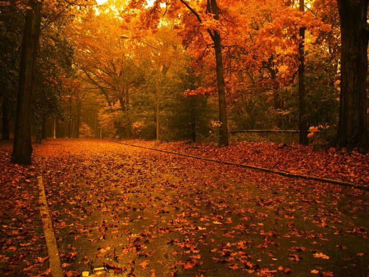 autumn desktop wallpapers Autumn in New England