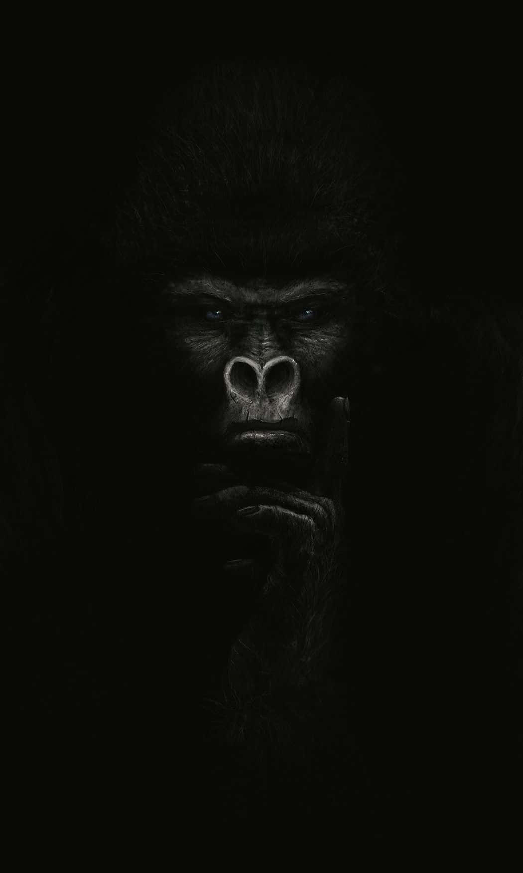 iPhone Xs Max Gorilla Background X Wallpaper