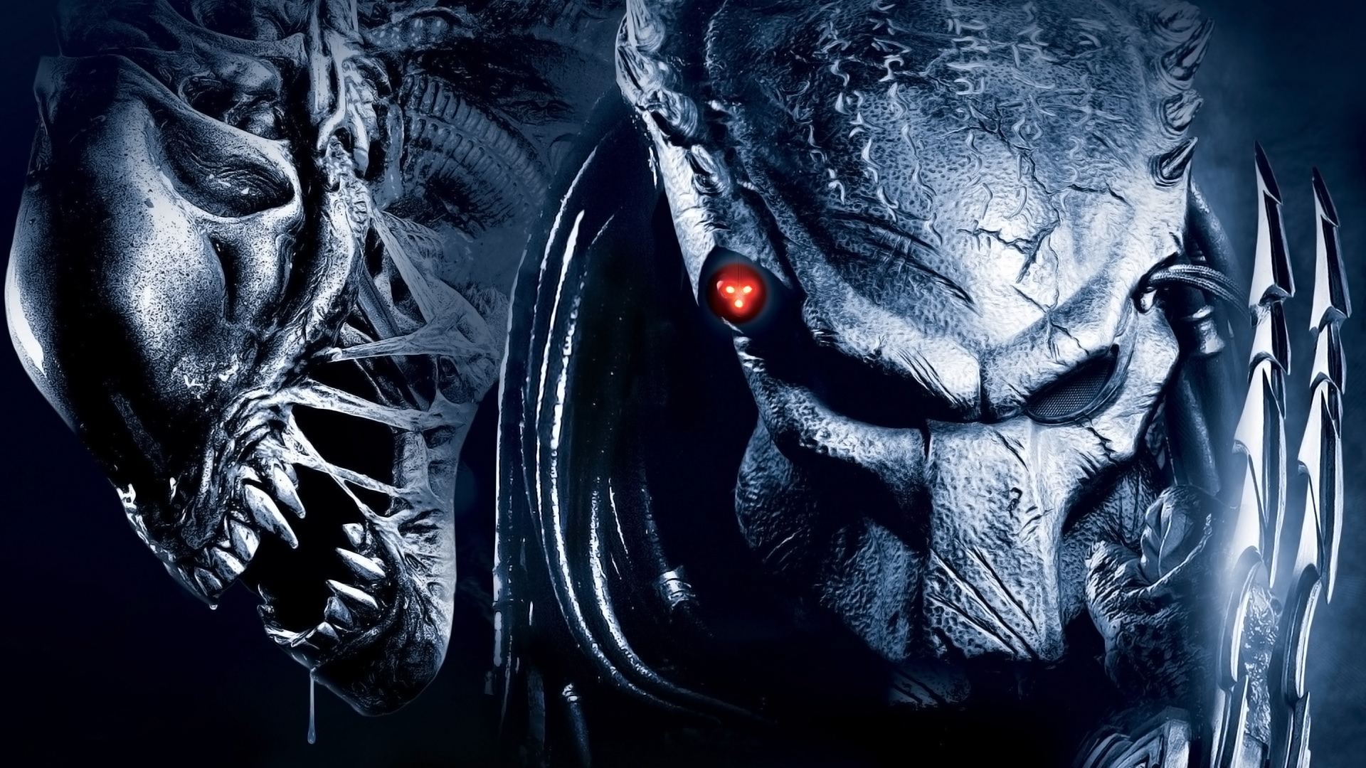 Cran Des Films Aliens Et Predator Wallpaper