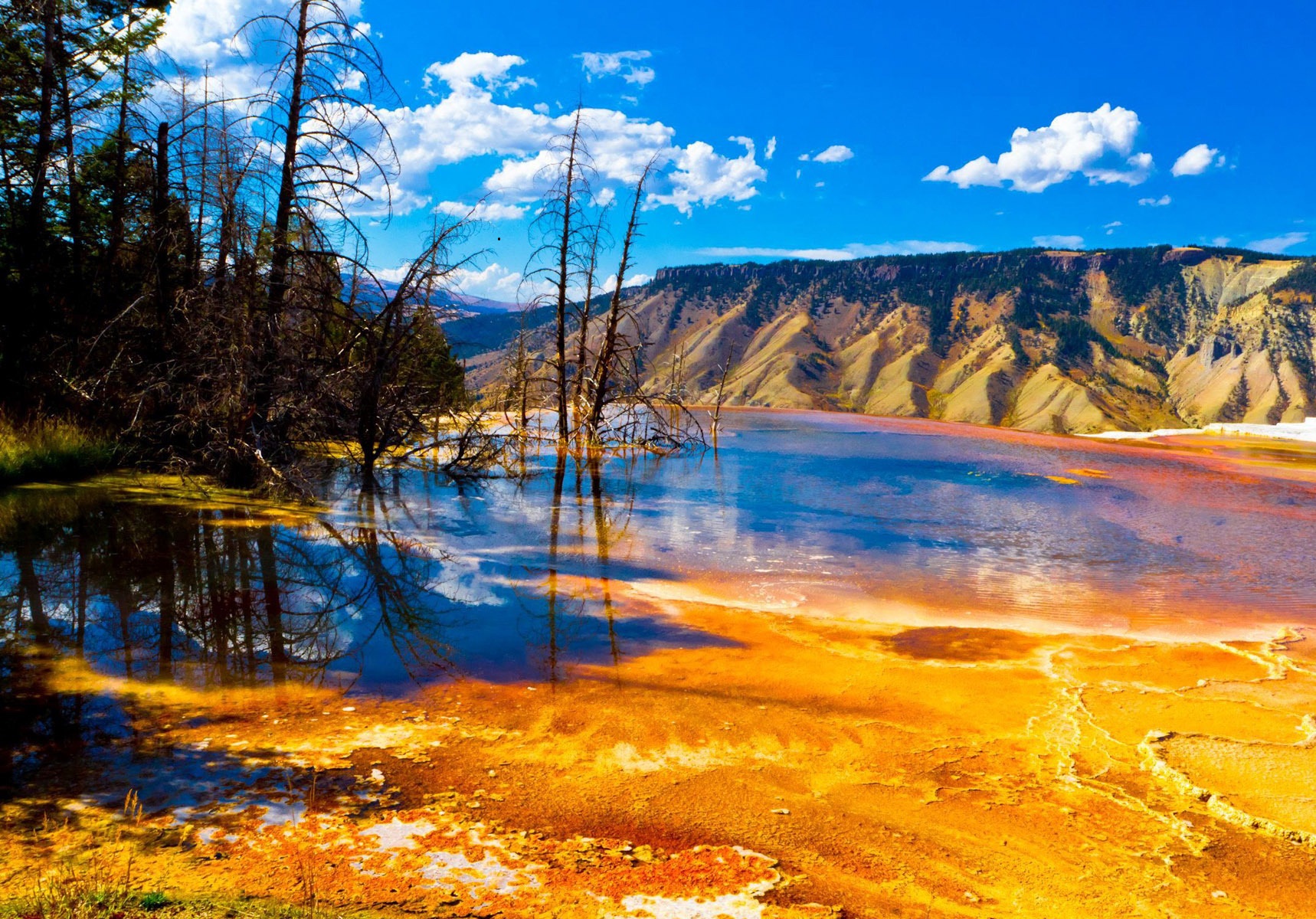 Yellowstone National Park Wallpaper HD Background Of