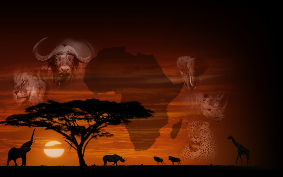 Africa Wallpaper By Riddercoenraad