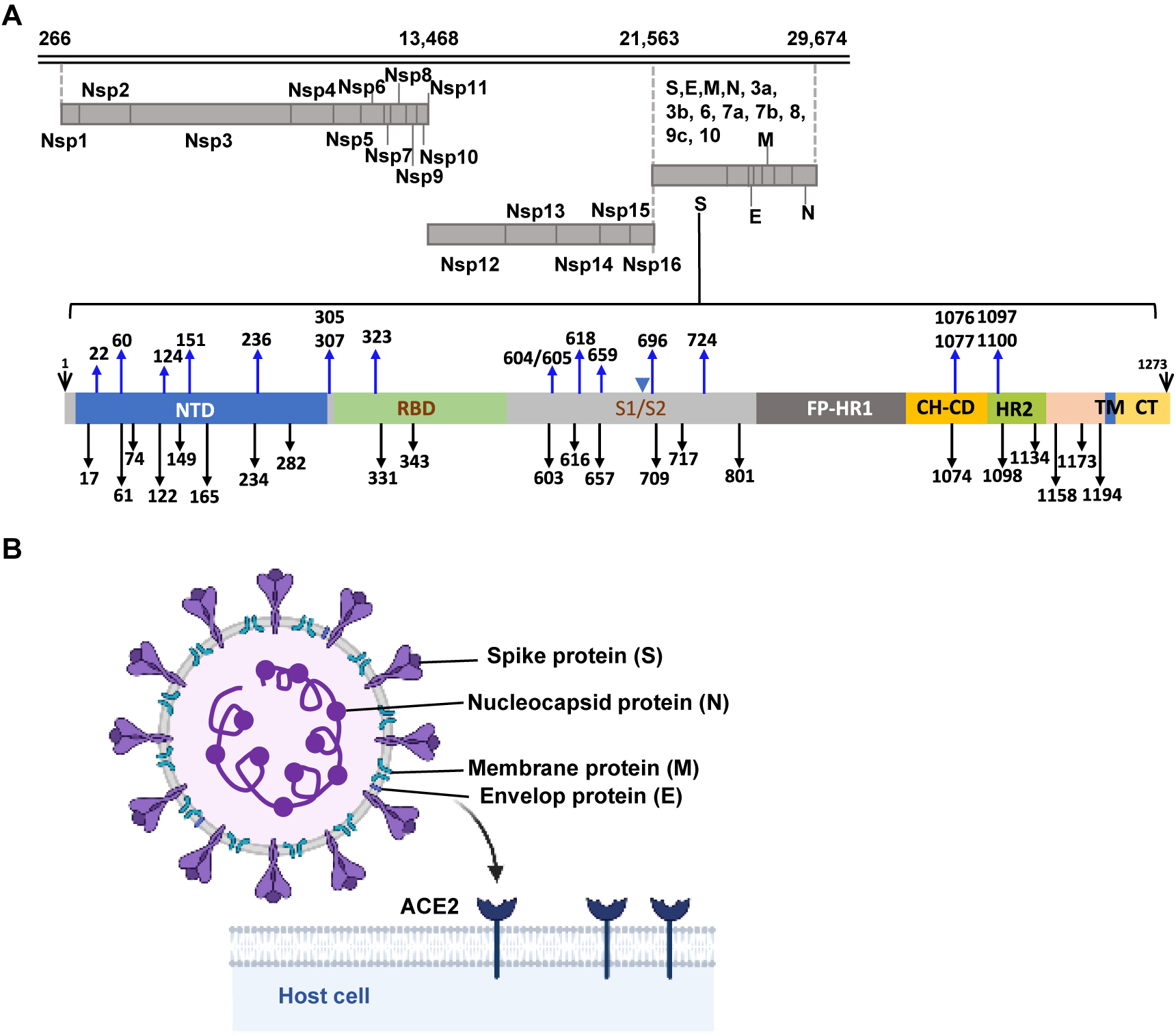 Proteomics Research Of Sars Wallpaper