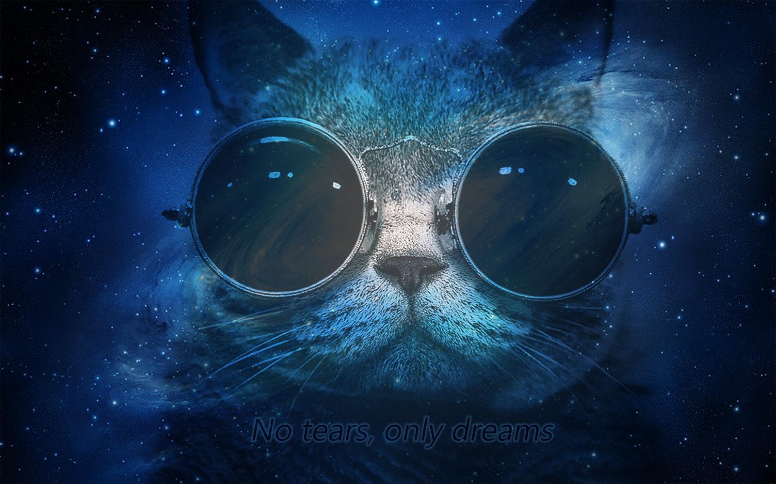 Space Cat Wallpaper Morpheous Goes Deep
