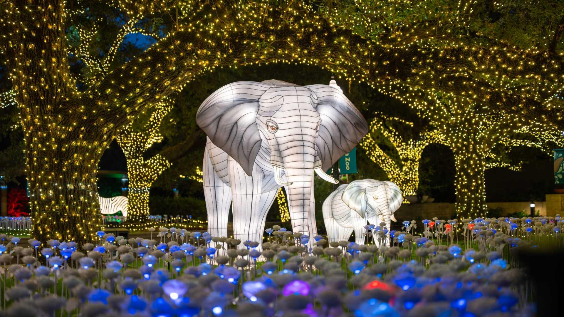 Holiday Lights In Houston Best Christmas Displays Events