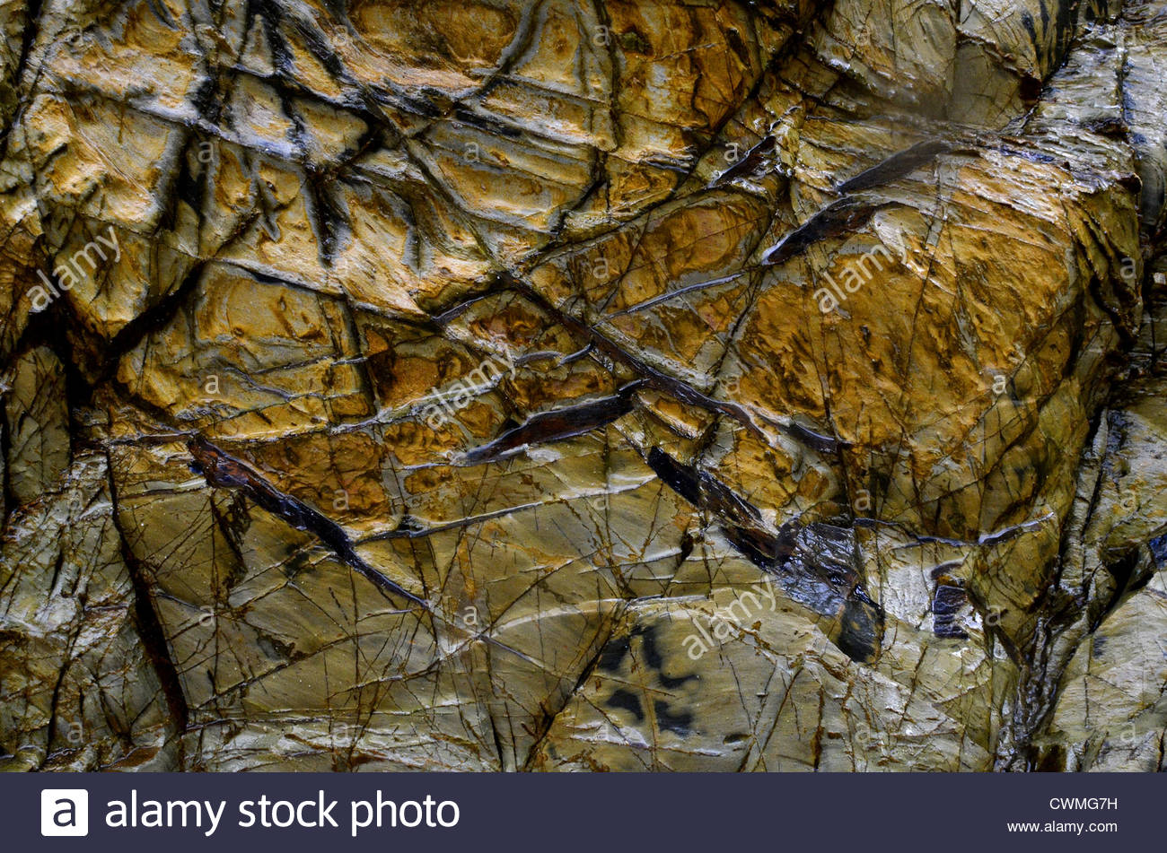 Cornwall Shoreline Rock Texture Wallpaper Background In Region