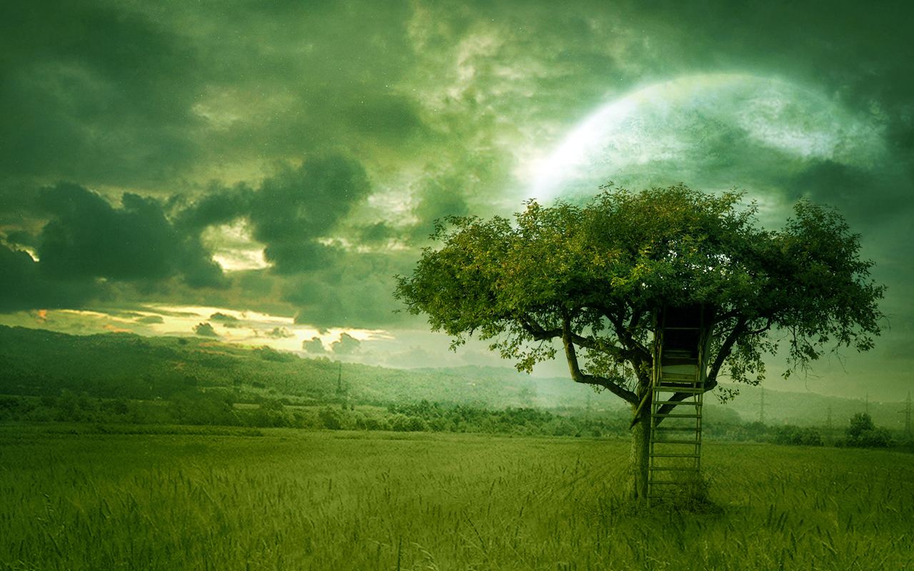 Nature Scenes Amazing Green Pictures Photos Of