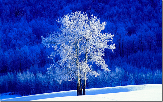 Appatic Winter Desktop Background For Windows Xp Vista